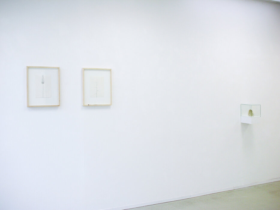 Sommer, Sonne, Mond und Sterne