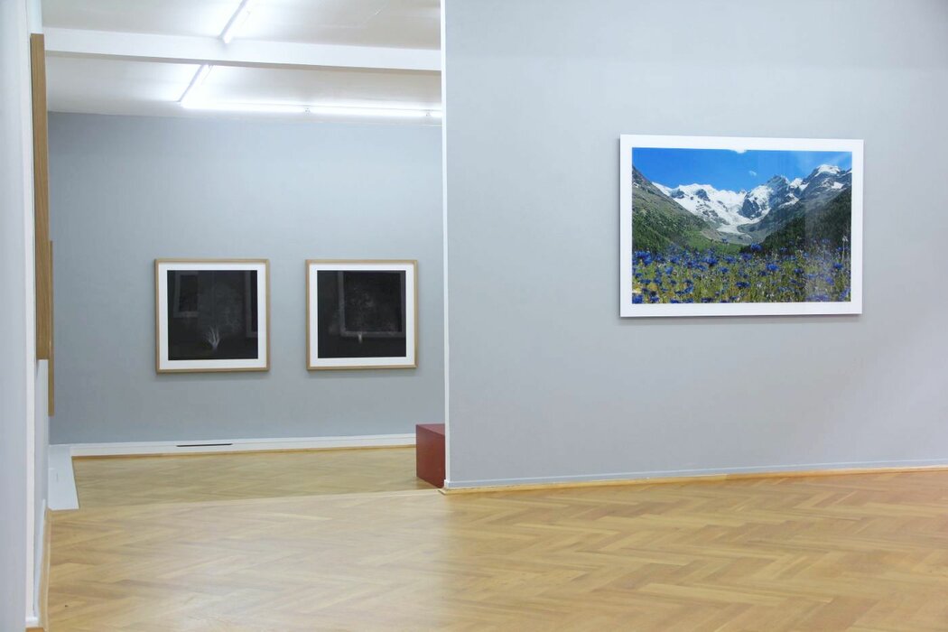 Winter, Keen Insight