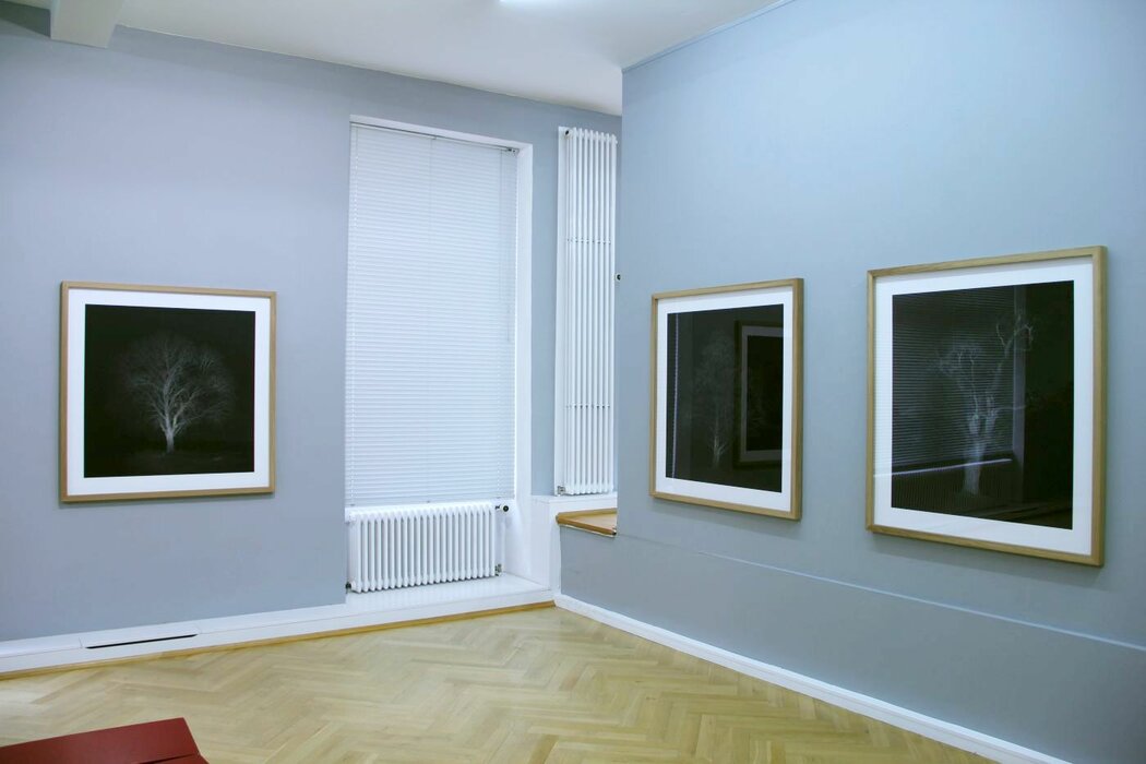 Winter, Keen Insight