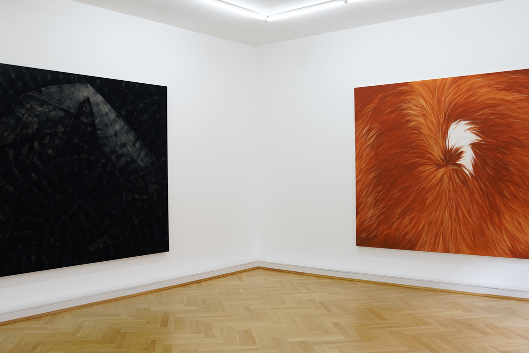 Le Corps de la Couleur