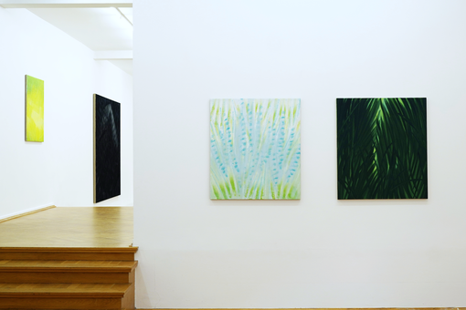 Le Corps de la Couleur