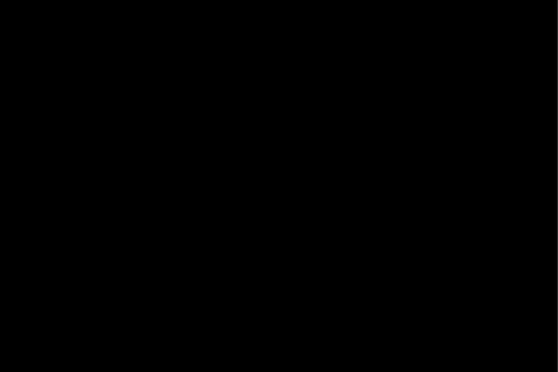 Einzelausstellung