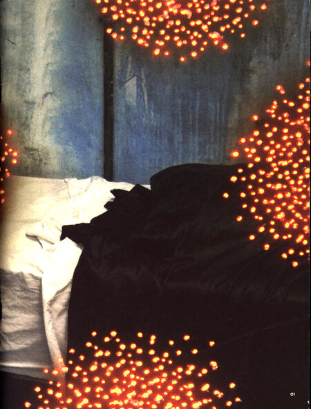 Will beauty save the world