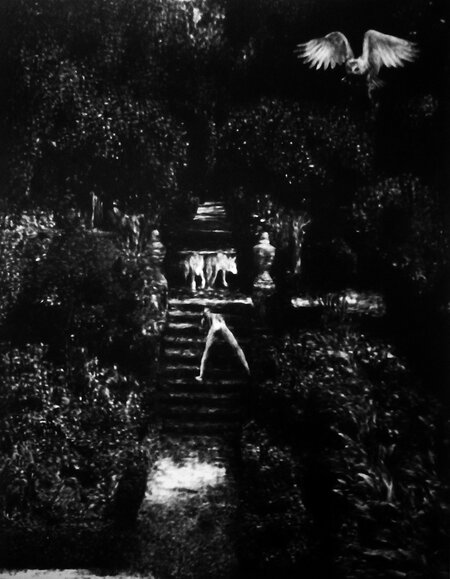 Pleasures of the damned 03