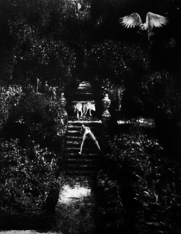 Pleasures of the damned 03