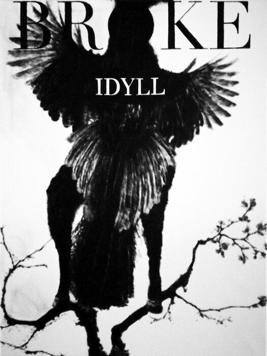 Broke Idyll