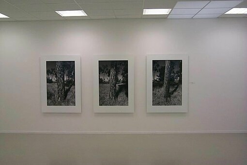 Fotografische Bildfolgen