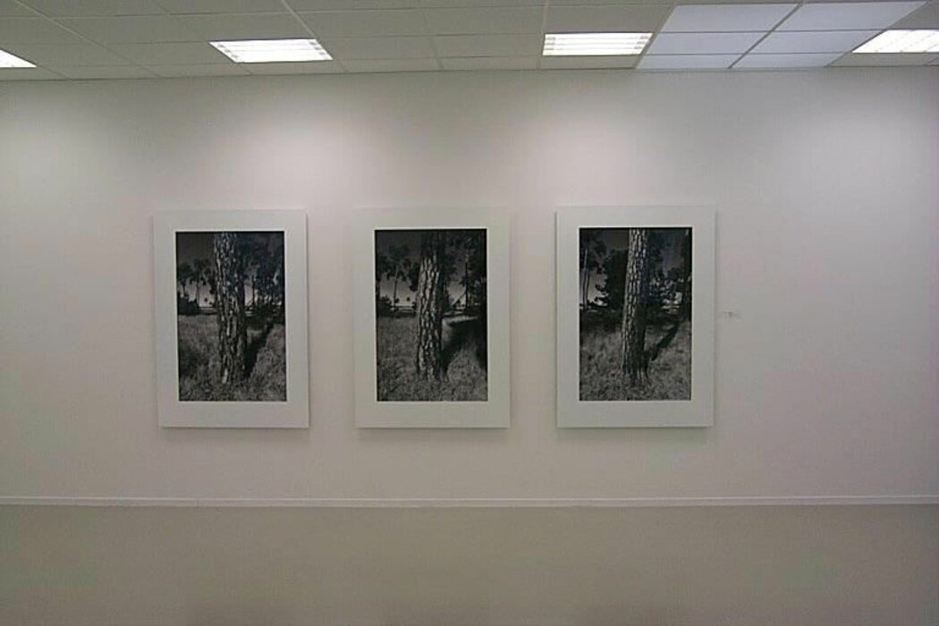 Fotografische Bildfolgen