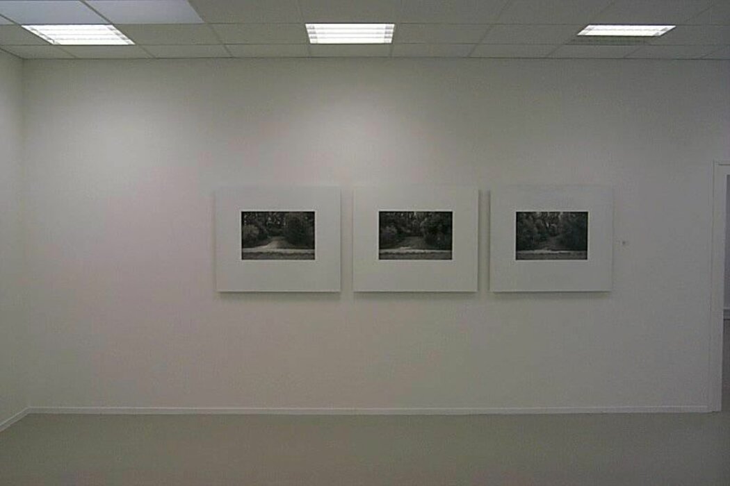 Fotografische Bildfolgen