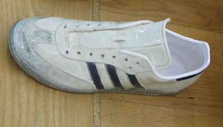 Bittersweet V (cracks)