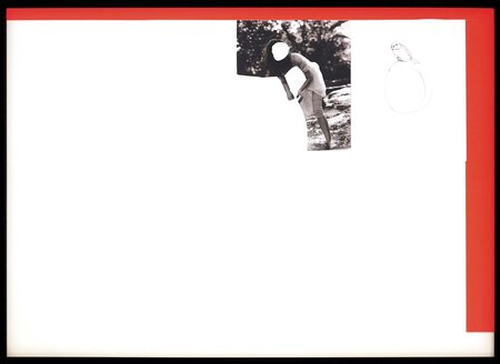 The girl and the Bird