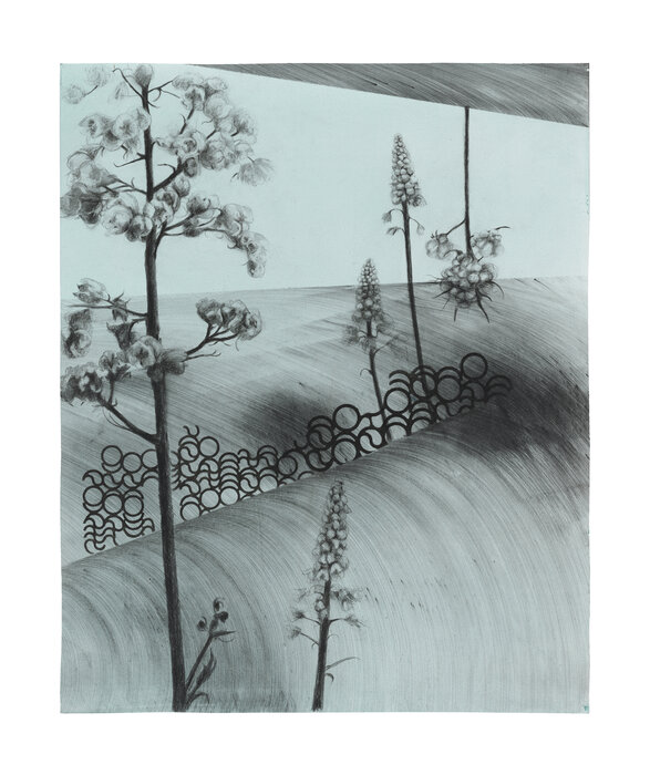 Gliding in Language Meadow (1)