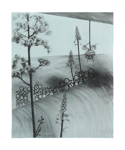 Gliding in Language Meadow (1)