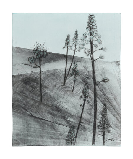 Gliding in Language Meadow (3)