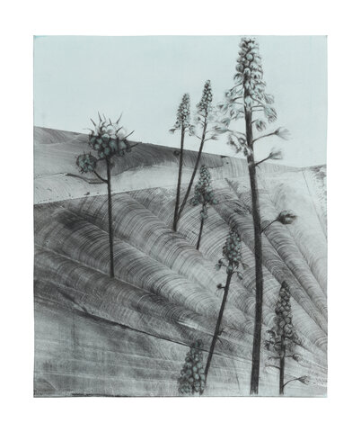 Gliding in Language Meadow (3)