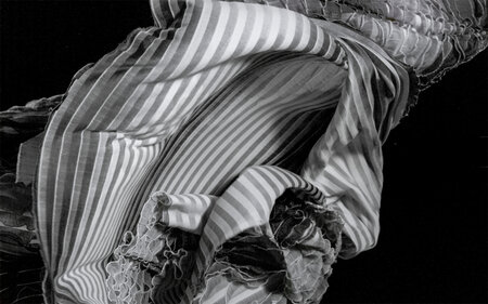 Peacock Shadow Never Black