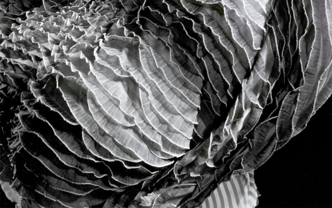 Peacock Shadow Never Black