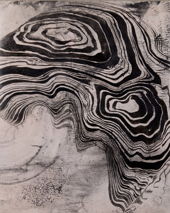 A Garden of Everywhere Voices 10