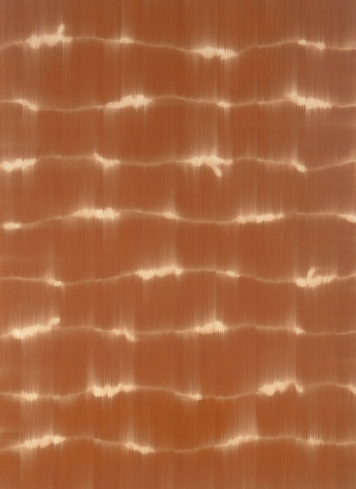 Transverse Wave (CYD+TOR)