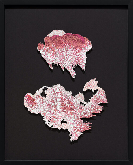 Red Rhizome I