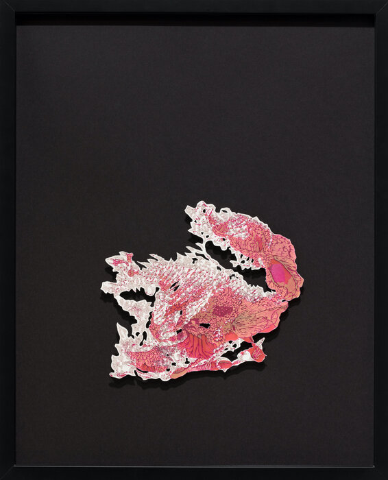 Red Rhizome II
