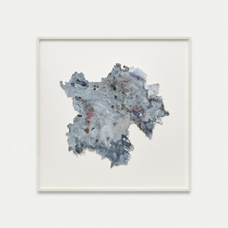 Rhizome Bluegrey 4