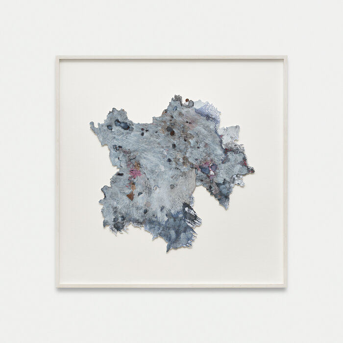Rhizome Bluegrey 4