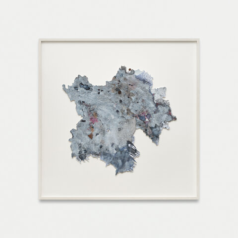 Rhizome Bluegrey 4
