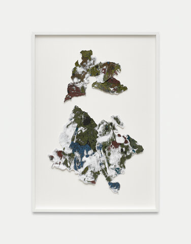 Rhizome Green II