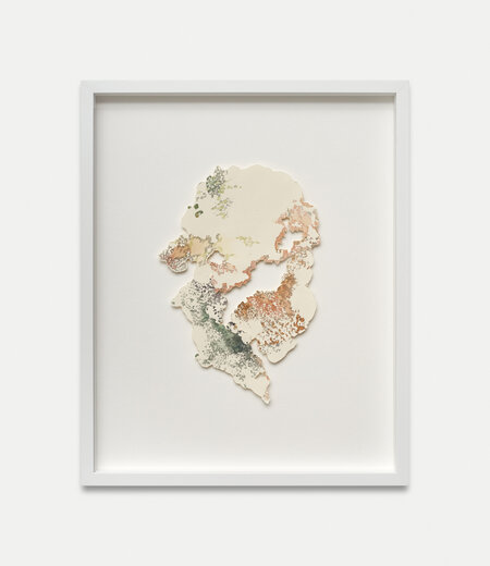 Rhizome Polychrome 1
