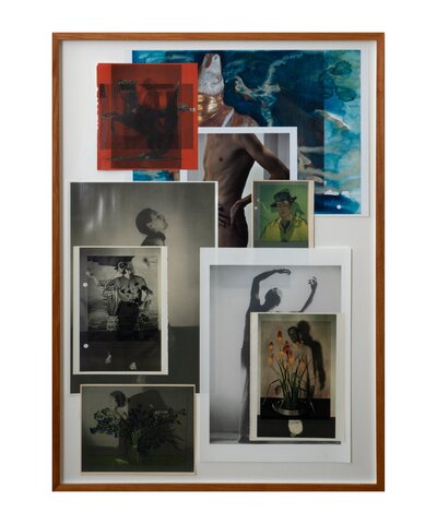 Die Pappel im Wind III