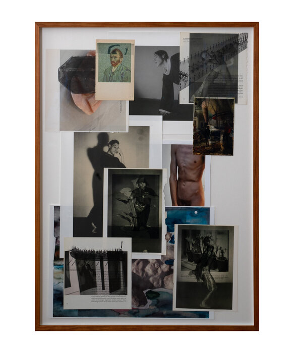 Die Pappel im Wind V