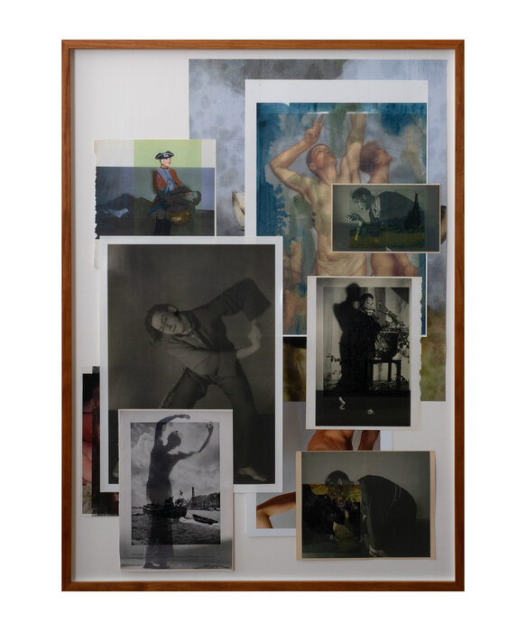 Die Pappel im Wind VI