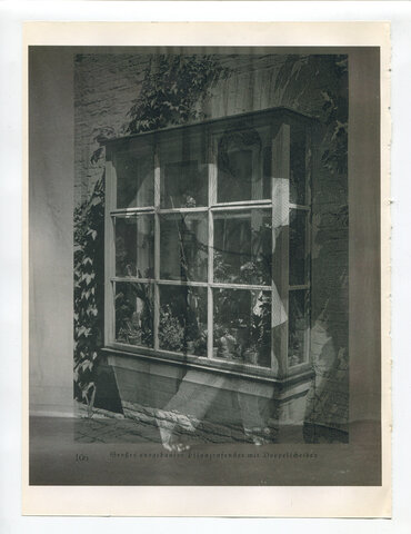 Die Pappel im Wind VIB