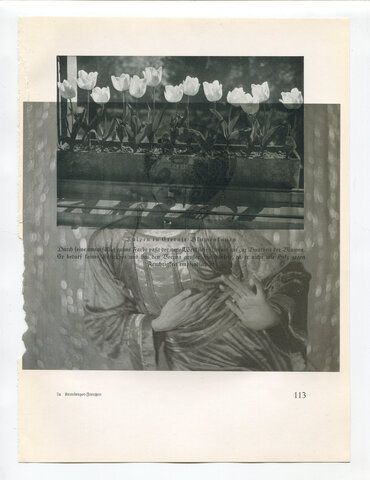 Die Pappel im Wind VIIB