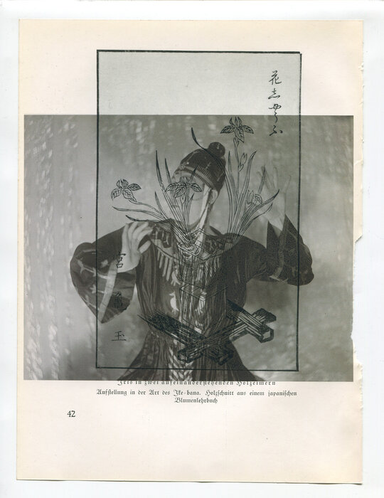 Die Pappel im Wind VIIIB