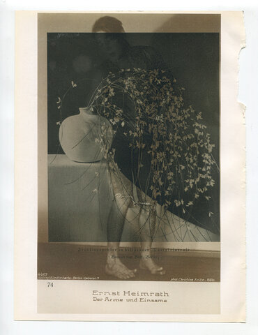 Die Pappel im Wind IXB