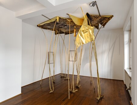 an deinen lichtfühligen rändern