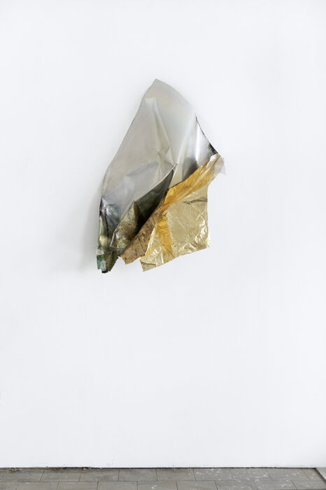 schmetterlingsaufbruch drei