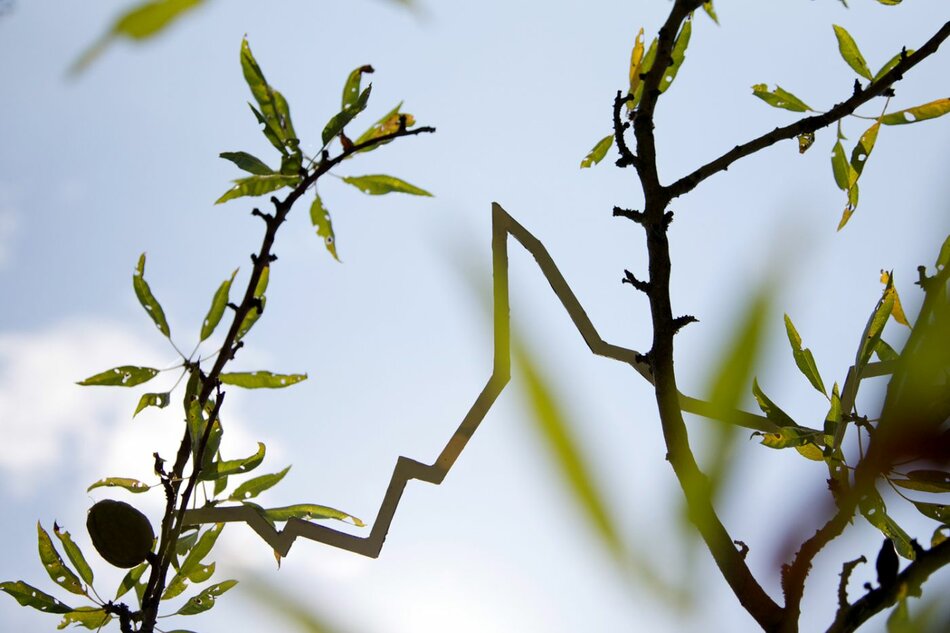 Peak (Natural Rendering)