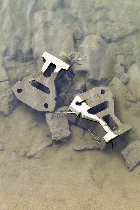 Creatures Of The Mud