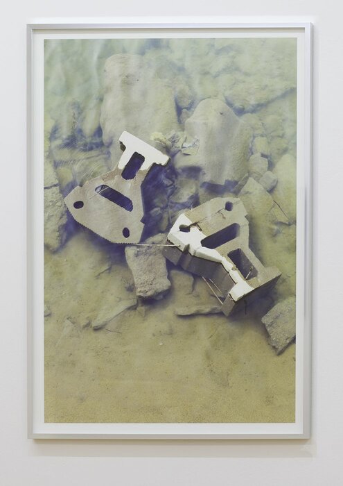 Creatures Of The Mud