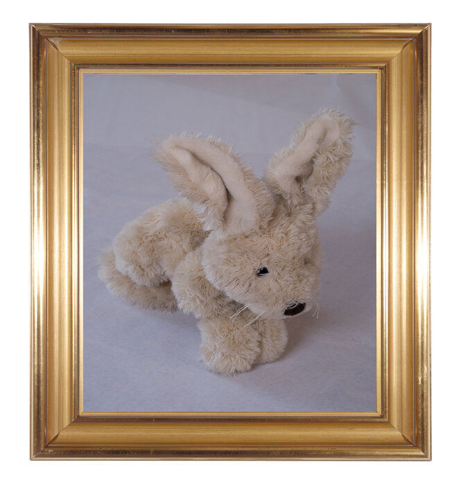 The Hare – Albrecht Dürer