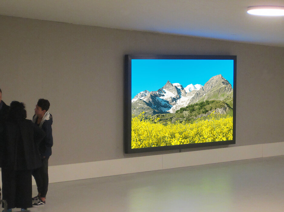 Keen Insight - Zurich