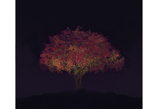 Herbst 2