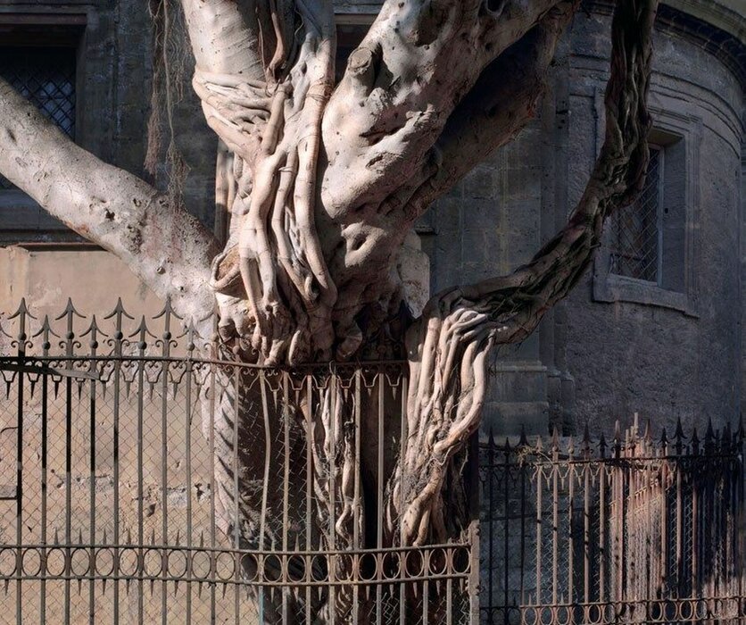 Ohne Titel (Laokoon)