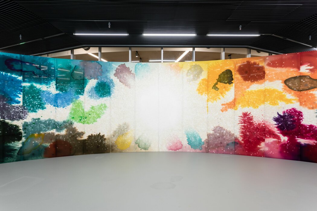 first second patience, Lucerne