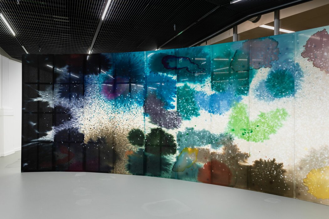 first second patience, Lucerne