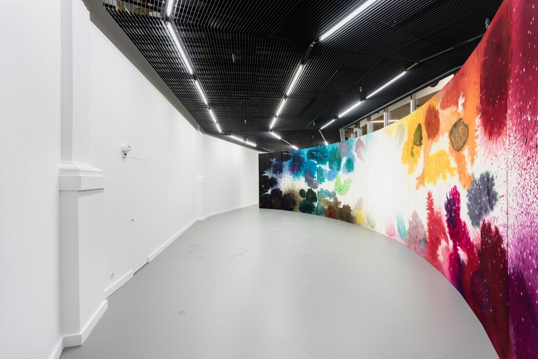 first second patience, Lucerne