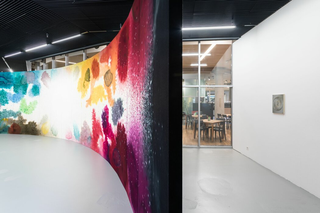 first second patience, Lucerne